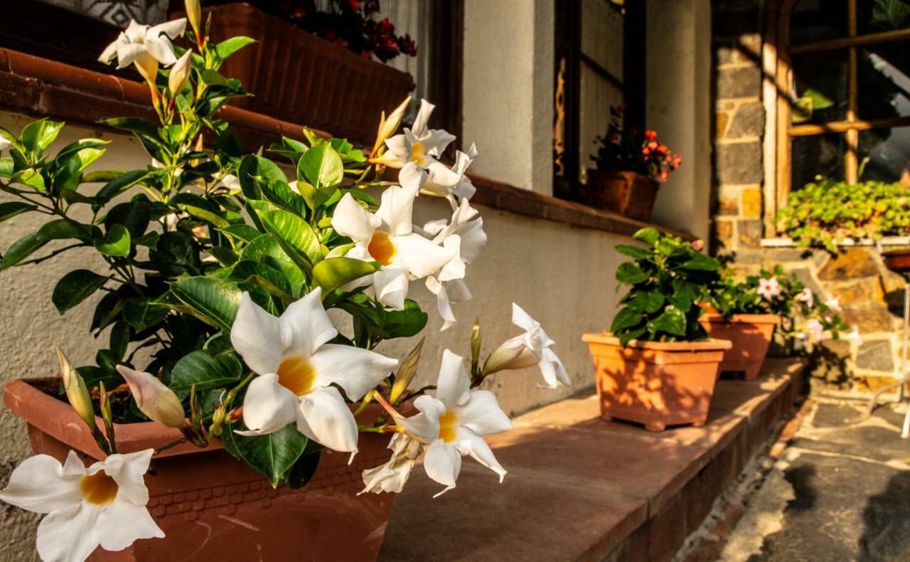 Hostal Montserrat มอนต์เซนีย์ ภายนอก รูปภาพ