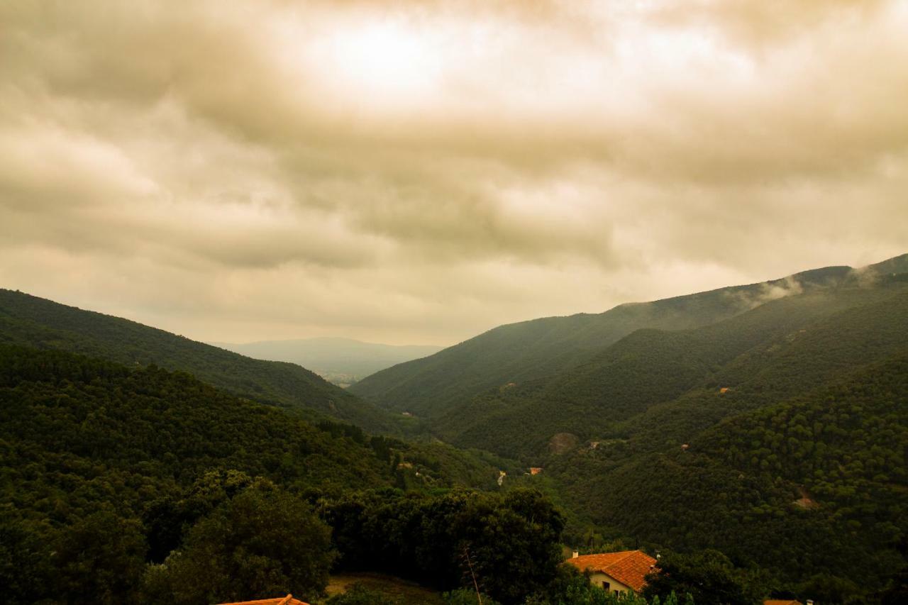Hostal Montserrat มอนต์เซนีย์ ภายนอก รูปภาพ
